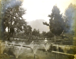 Shalimar Bagh (Date: Unknown)